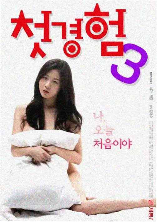 《妻子3》免费完整版高清韩剧官方海报
